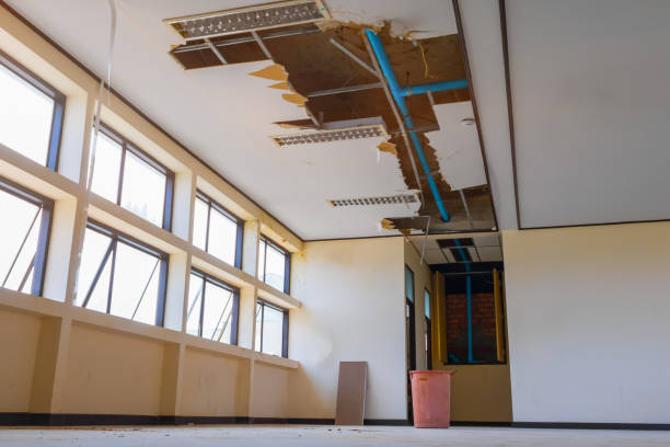 Best Carpet water damage restoration  in Los Alamos, CA