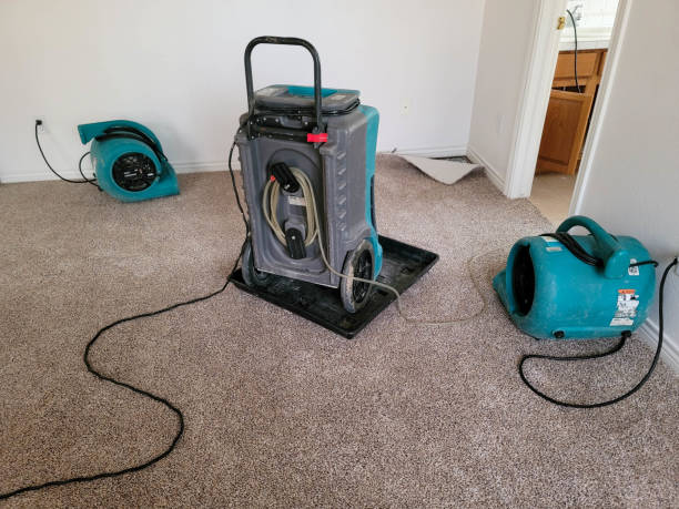 Best Basement water damage restoration  in Los Alamos, CA