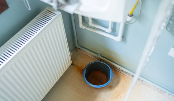 Best Mold removal after water damage  in Los Alamos, CA