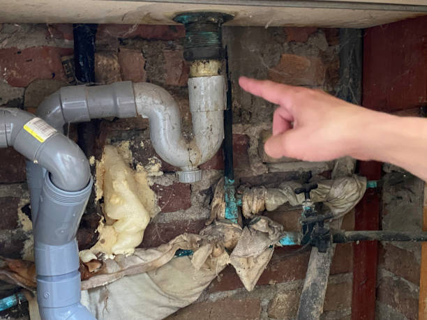 Reliable Los Alamos, CA Water damage restoration Solutions