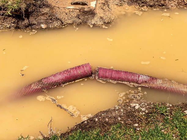 Best Flood damage cleanup  in Los Alamos, CA